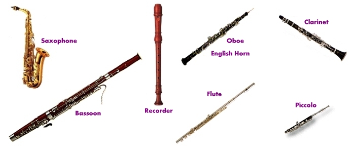 wind instruments names